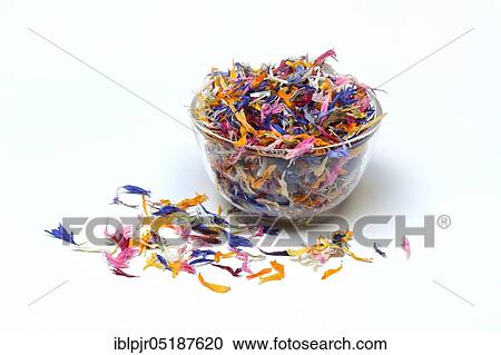 Stock Image - Blue leaf in wooden spoon, edible blue stain, Centaurea cyanus, Calendula officinalis, Helianthus annuus. Fotosearch