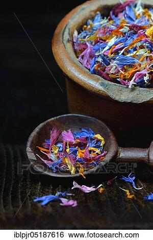 Stock Photograph - Blue leaf in wooden spoon, edible blue stain, Centaurea cyanus, Calendula officinalis, Helianthus annuus. Fotosearch