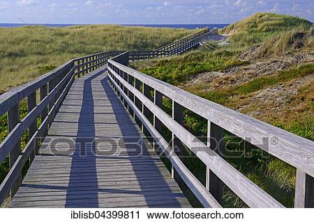 Stock Image - Boardwalk through the dunes to the beach of Kampen, Sylt, North Frisian Islands, North Frisia, Schleswig-Holstein, Germany, Europe. Fotosearch