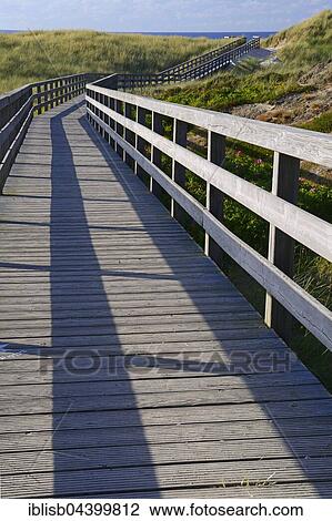 Stock Image - Boardwalk through the dunes to the beach of Kampen, Sylt, North Frisian Islands, North Frisia, Schleswig-Holstein, Germany, Europe. Fotosearch