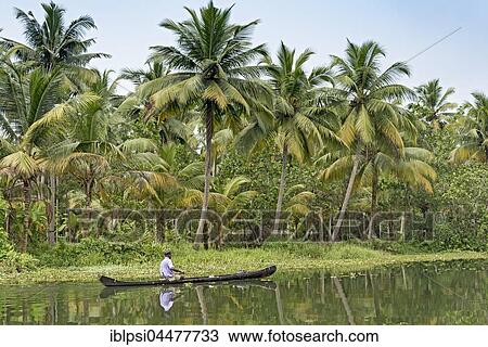 Boat on river, Backwaters, Kerala, India, Asia View Large Photo Image Stock Image - Boat on river, Backwaters, Kerala, India, Asia. Fotosearch