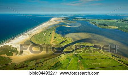Bodden or lagoons, nature reserve, Darß-Zingst Bodden chain, Zingst, Fischland-Zingst, Baltic coast, Mecklenburg-Western Pomerania, Germany, Europe View Large Photo Image Stock Photo - Bodden or lagoons, nature reserve, Darß-Zingst Bodden chain, Zingst, Fischland-Zingst, Baltic coast, Mecklenburg-Western Pomerania, Germany, Europe. Fotosearch