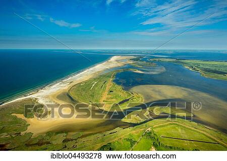 Bodden or lagoons, nature reserve, Darß-Zingst Bodden chain, Zingst, Fischland-Zingst, Baltic coast, Mecklenburg-Western Pomerania, Germany, Europe View Large Photo Image Stock Photo - Bodden or lagoons, nature reserve, Darß-Zingst Bodden chain, Zingst, Fischland-Zingst, Baltic coast, Mecklenburg-Western Pomerania, Germany, Europe. Fotosearch