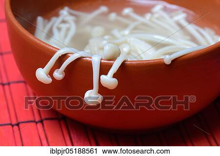 Boiled Golden needle mushroommushrooms in shell ( Flammulina velutipes) View Large Photo Image Stock Image - Boiled Golden needle mushroommushrooms in shell ( Flammulina velutipes). Fotosearch