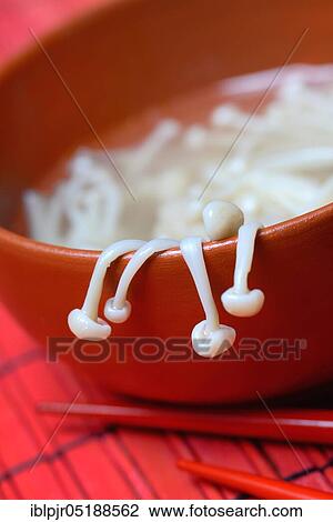 Boiled Golden needle mushroommushrooms in shell ( Flammulina velutipes) View Large Photo Image Stock Image - Boiled Golden needle mushroommushrooms in shell ( Flammulina velutipes). Fotosearch