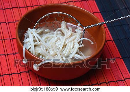 Boiled Golden needle mushroommushrooms in bowl with strainer,, metal strainer View Large Photo Image Stock Photo - Boiled Golden needle mushroommushrooms in bowl with strainer,, metal strainer. Fotosearch