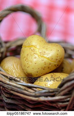 Boiled potato in basket View Large Photo Image Stock Photo - Boiled potato in basket. Fotosearch