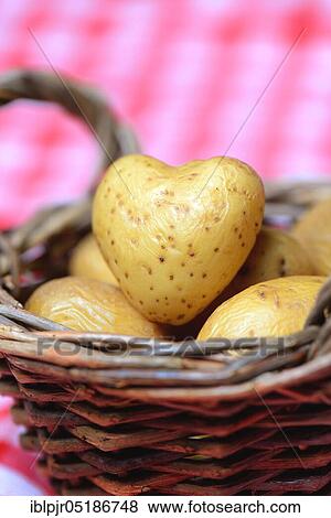 Stock Photo - Boiled potato in basket. Fotosearch