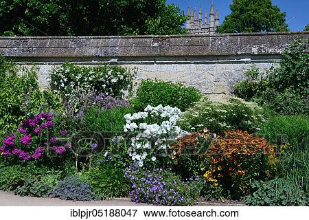 Botanical Garden, Great Britain, Oxford, Oxfordshire, England View Large Photo Image Stock Photo - Botanical Garden, Great Britain, Oxford, Oxfordshire, England. Fotosearch