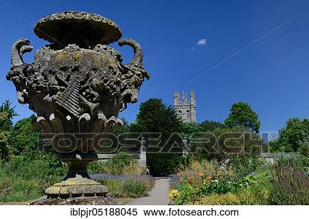 Botanical Garden, Great Britain, Oxford, Oxfordshire, England View Large Photo Image Stock Photography - Botanical Garden, Great Britain, Oxford, Oxfordshire, England. Fotosearch