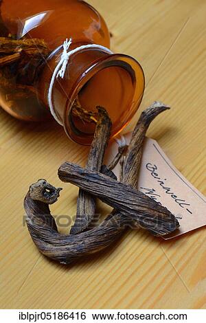 Bottle with dried -roots, Common Comfrey (Symphytum officinale) View Large Photo Image Stock Photograph - Bottle with dried -roots, Common Comfrey (Symphytum officinale). Fotosearch