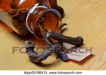 Stock Photography - Bottle with dried -roots, Common Comfrey (Symphytum officinale). Fotosearch
