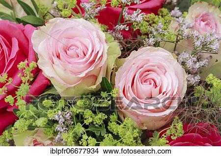 Picture - Bouquet Detail, Flower Arrangement. Fotosearch