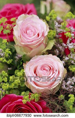 Stock Image - Bouquet Detail, Flower Arrangement. Fotosearch