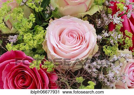 Stock Image - Bouquet Detail, Flower Arrangement. Fotosearch
