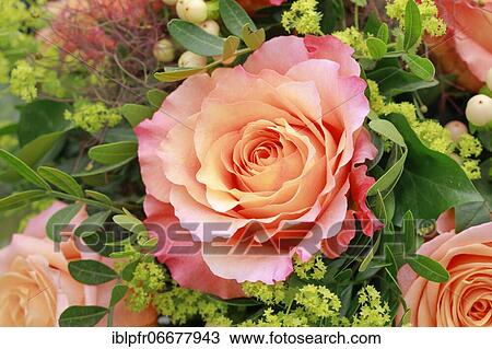 Bouquet Detail, Flower Arrangement View Large Photo Image Stock Image - Bouquet Detail, Flower Arrangement. Fotosearch