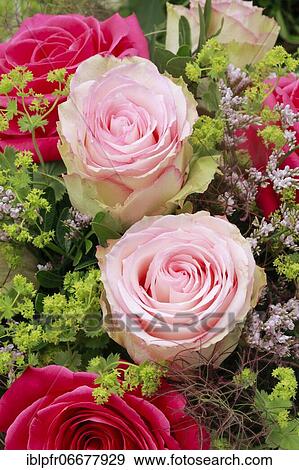 Bouquet Detail, Flower Arrangement View Large Photo Image Stock Photo - Bouquet Detail, Flower Arrangement. Fotosearch