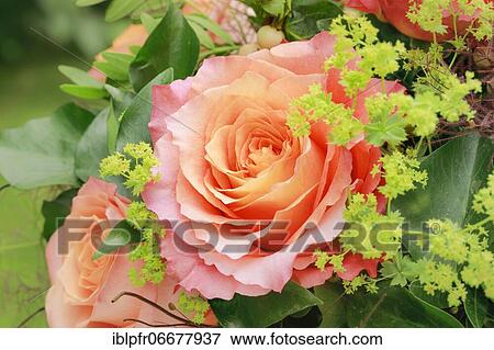 Bouquet Detail, Flower Arrangement View Large Photo Image Stock Photo - Bouquet Detail, Flower Arrangement. Fotosearch