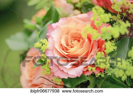 Bouquet Detail, Flower Arrangement View Large Photo Image Stock Photo - Bouquet Detail, Flower Arrangement. Fotosearch