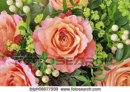 Stock Photo - Bouquet Detail, Flower Arrangement. Fotosearch