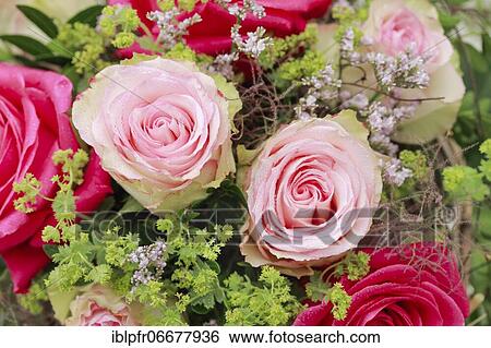 Bouquet Detail, Flower Arrangement View Large Photo Image Stock Photograph - Bouquet Detail, Flower Arrangement. Fotosearch