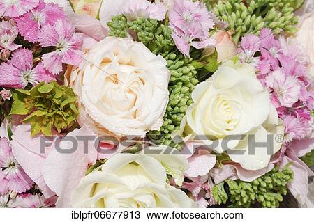 Bouquet detail View Large Photo Image Stock Image - Bouquet detail. Fotosearch