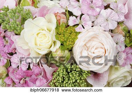 Stock Photo - Bouquet detail. Fotosearch