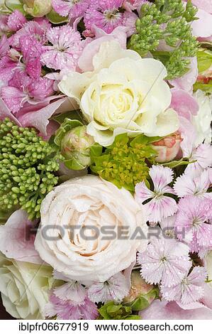 Stock Photo - Bouquet detail. Fotosearch