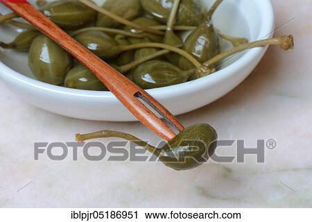 Bowl with caper apples, marinated, caper apple ( Capparis spinosa) View Large Photo Image Stock Image - Bowl with caper apples, marinated, caper apple ( Capparis spinosa). Fotosearch