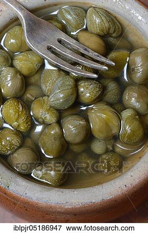 Bowl with capers, pickled ( Capparis spinosa) View Large Photo Image Stock Photo - Bowl with capers, pickled ( Capparis spinosa). Fotosearch