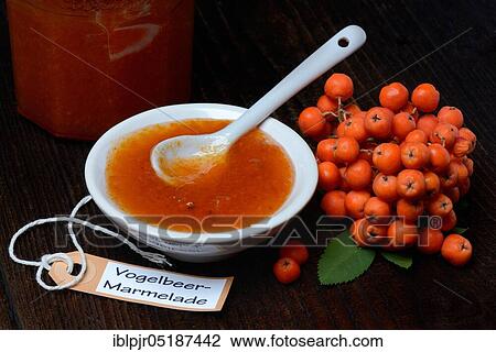Bowl with rowanberry jam and n ( Sorbus aucuparia) View Large Photo Image Stock Image - Bowl with rowanberry jam and n ( Sorbus aucuparia). Fotosearch