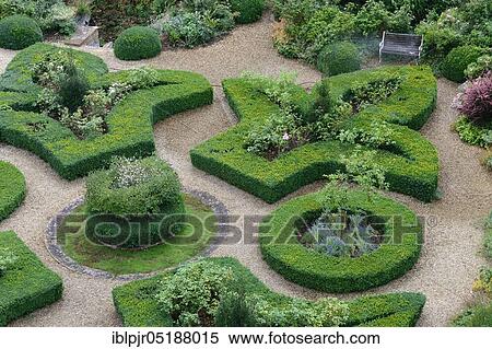 Boxwood in topiary, boxwood hedge, Buxus sempervirens View Large Photo Image Stock Photography - Boxwood in topiary, boxwood hedge, Buxus sempervirens. Fotosearch