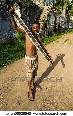 Stock Photo - Boy prsenting a dead python skin before the old plantation Roca Bombaim in the jungle interior of Sao Tome, Sao Tome and Principe, Atlantic ocean, Africa. Fotosearch
