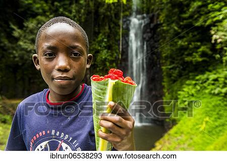 Stock Image - Boy selliing wild rasberrys before the waterfall of Sao Nicolau in the jungle of Sao Tome, Sao Tome and Principe, Atlantic ocean, Africa. Fotosearch