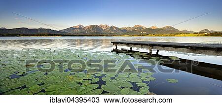 Stock Image - Bridge and water lilies on Hopfensee, in front of the Allgäu Alps, morning admosphere, Allgäu, Bavaria, Germany, Europe. Fotosearch