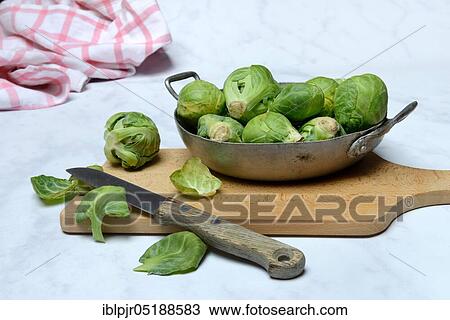 Brussels sprouts in a bowl with kitchen knife, Brassica oleracea gemmifera View Large Photo Image Stock Image - Brussels sprouts in a bowl with kitchen knife, Brassica oleracea gemmifera. Fotosearch
