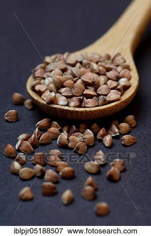 Buckwheat in wooden spoon, Fagopyrum esculentum View Large Photo Image Stock Photo - Buckwheat in wooden spoon, Fagopyrum esculentum. Fotosearch