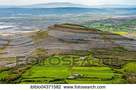 Burren, green pastures with cows and sheep, nature reserve, limestone rock, chalk cliff formation, Mullaghmore Burren, County Galway, County Clare, Ireland, Europe View Large Photo Image Stock Image - Burren, green pastures with cows and sheep, nature reserve, limestone rock, chalk cliff formation, Mullaghmore Burren, County Galway, County Clare, Ireland, Europe. Fotosearch