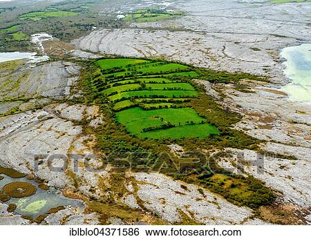 Burren, nature reserve, limestone rock, chalk cliff formation, Mullaghmore Burren, County Clare, Ireland, Europe View Large Photo Image Stock Photograph - Burren, nature reserve, limestone rock, chalk cliff formation, Mullaghmore Burren, County Clare, Ireland, Europe. Fotosearch