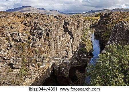 Canyon between drifting North American and Eurasian tectonic plates, Öxará river, Thingvellir National Park, Golden Circle, Iceland, Europe View Large Photo Image Stock Image - Canyon between drifting North American and Eurasian tectonic plates, Öxará river, Thingvellir National Park, Golden Circle, Iceland, Europe. Fotosearch