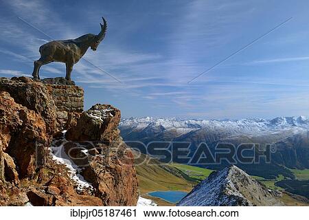 Capricorn sculpture on the Piz Nair, St. Moritz, Upper Engadine, Engadine, Canton Graubünden, Switzerland, Europe View Large Photo Image Stock Image - Capricorn sculpture on the Piz Nair, St. Moritz, Upper Engadine, Engadine, Canton Graubünden, Switzerland, Europe. Fotosearch