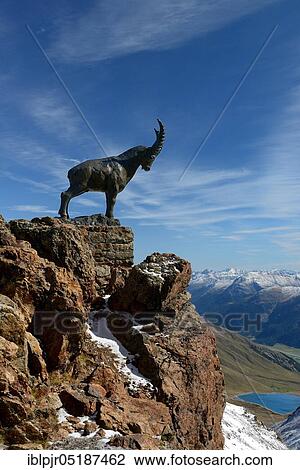 Capricorn sculpture on the Piz Nair, St. Moritz, Upper Engadine, Engadine, Canton Graubünden, Switzerland, Europe View Large Photo Image Stock Image - Capricorn sculpture on the Piz Nair, St. Moritz, Upper Engadine, Engadine, Canton Graubünden, Switzerland, Europe. Fotosearch