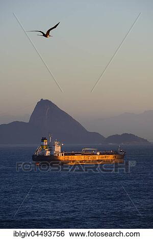 Cargo ship in the morning light, Sugarloaf Mountain at back, Rio de Janeiro, Brazil, South America View Large Photo Image Stock Photograph - Cargo ship in the morning light, Sugarloaf Mountain at back, Rio de Janeiro, Brazil, South America. Fotosearch