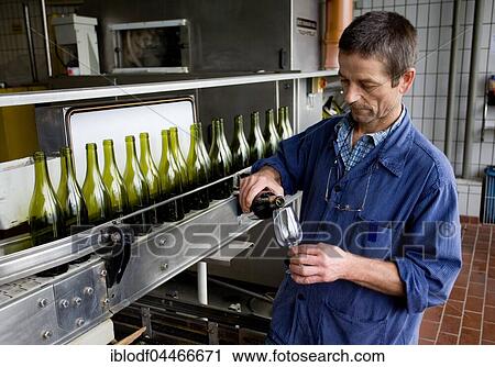 Cellarmaster during the quality control during the bottling, Kiechlinsbergen, Baden-Wurttemberg, Germany, Europe View Large Photo Image Stock Image - Cellarmaster during the quality control during the bottling, Kiechlinsbergen, Baden-Wurttemberg, Germany, Europe. Fotosearch