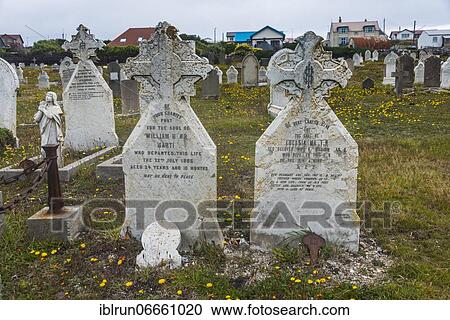 Cemetery in Stanley capital of the Falklands, South America View Large Photo Image Stock Image - Cemetery in Stanley capital of the Falklands, South America. Fotosearch