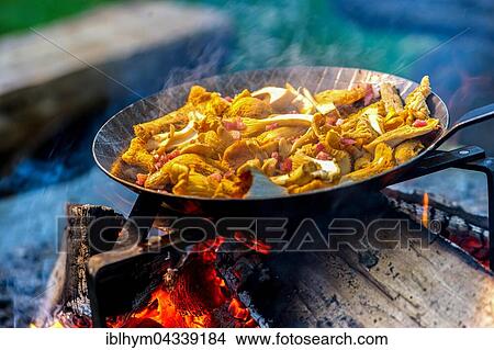 Picture - Chanterelles in a pan over an open fire. Fotosearch