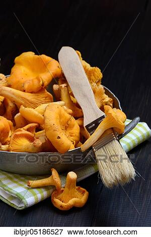 Stock Photo - Chanterelles with brush, cleaning mushrooms. Fotosearch