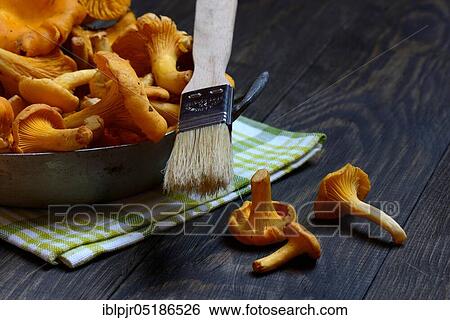 Chanterelles with brush, cleaning mushrooms View Large Photo Image Stock Photograph - Chanterelles with brush, cleaning mushrooms. Fotosearch