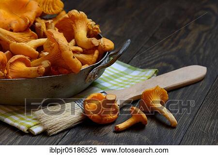 Chanterelles with brush, cleaning mushrooms View Large Photo Image Stock Photography - Chanterelles with brush, cleaning mushrooms. Fotosearch