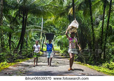 Children with buckets on their head walking through the jungle of the south coast of Sao Tome, Sao Tome and Principe, Atlantic ocean, Africa View Large Photo Image Stock Image - Children with buckets on their head walking through the jungle of the south coast of Sao Tome, Sao Tome and Principe, Atlantic ocean, Africa. Fotosearch